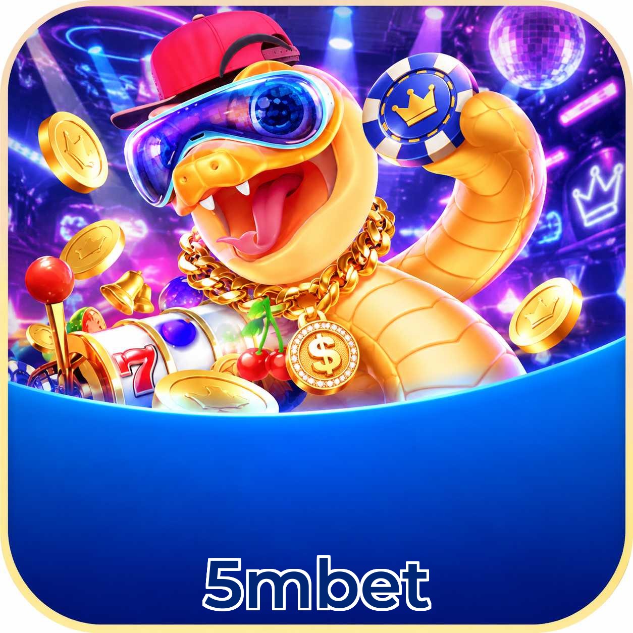 5mbet Requirements