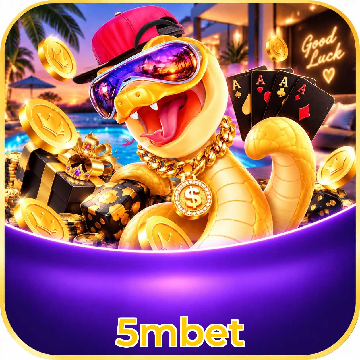 5mbet Interface