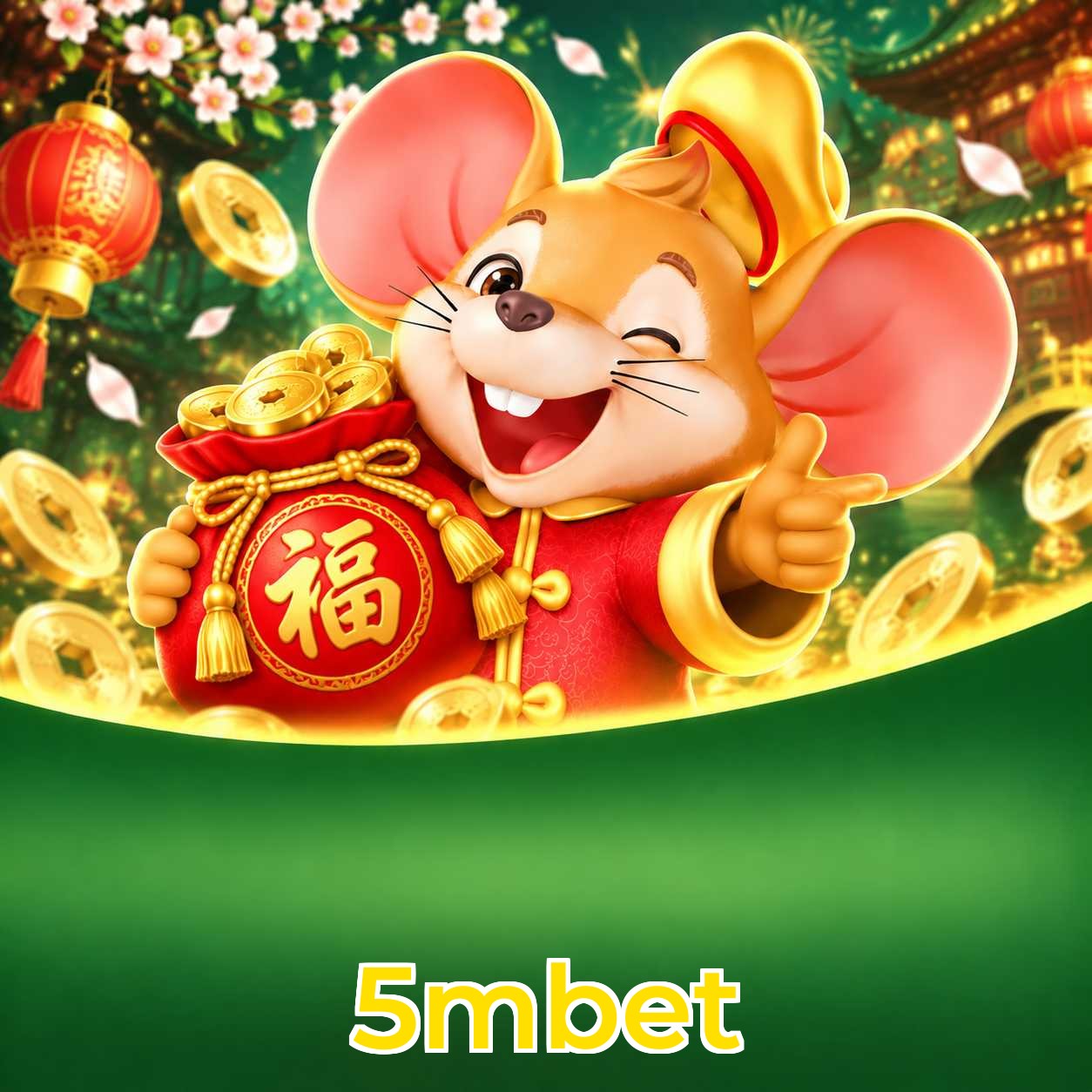 5mbet Streaming Quality