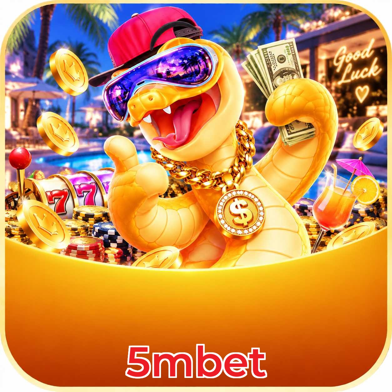 5mbet Live Casino Overview